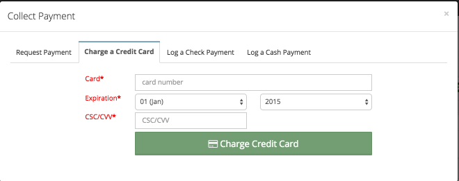 Screen shot of cc payment form.